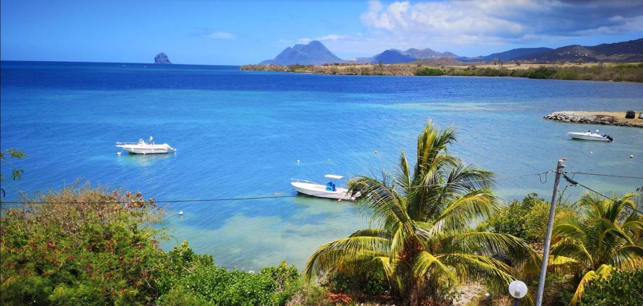 T2 Les Pieds Dans L'Eau Face A La Mer Des Caraibes Sainte Luce - Trois Rivieres المظهر الخارجي الصورة