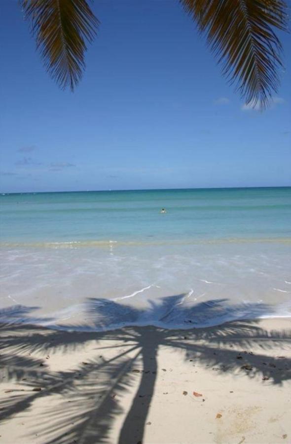 T2 Les Pieds Dans L'Eau Face A La Mer Des Caraibes Sainte Luce - Trois Rivieres المظهر الخارجي الصورة
