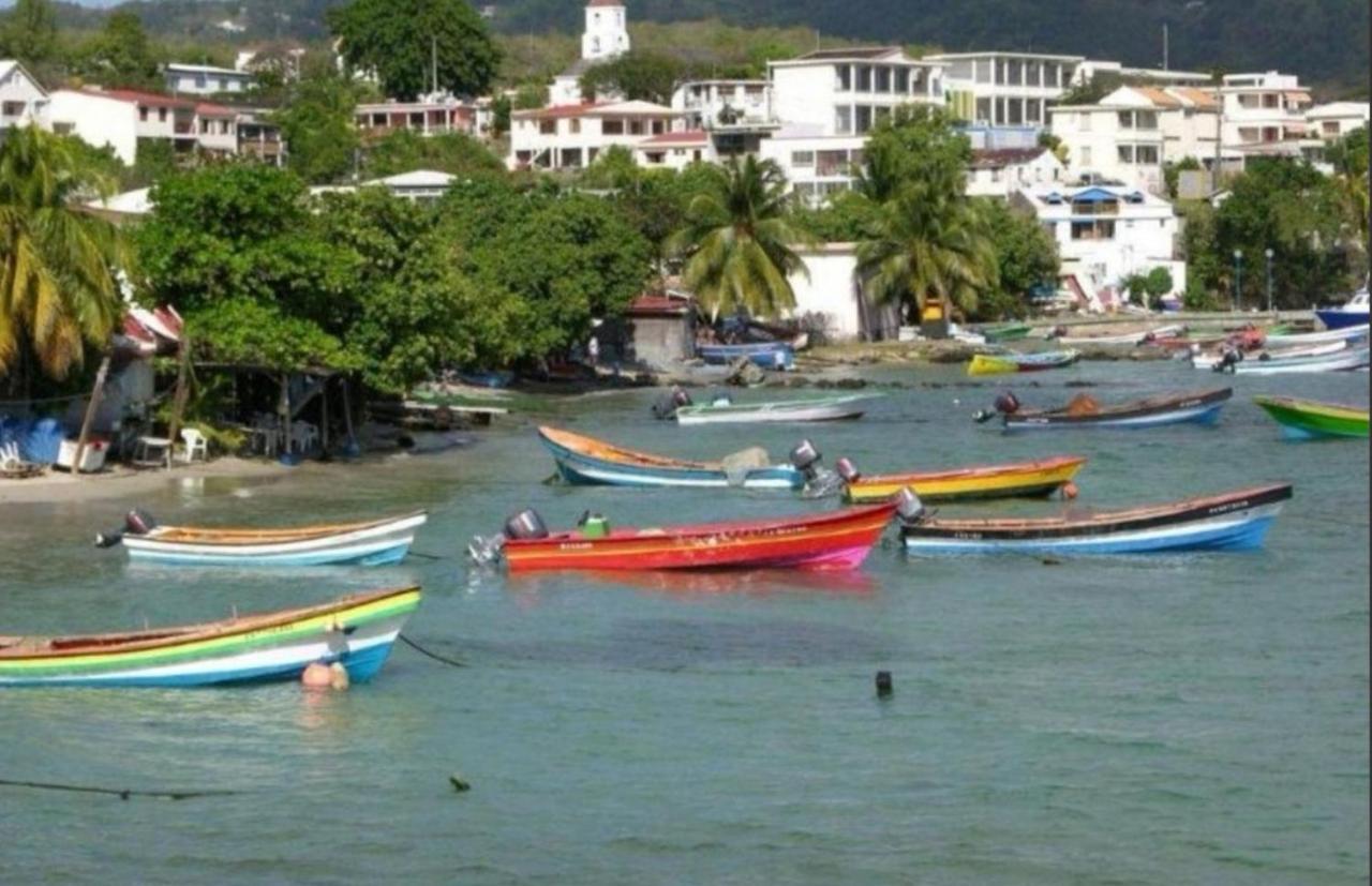 T2 Les Pieds Dans L'Eau Face A La Mer Des Caraibes Sainte Luce - Trois Rivieres المظهر الخارجي الصورة